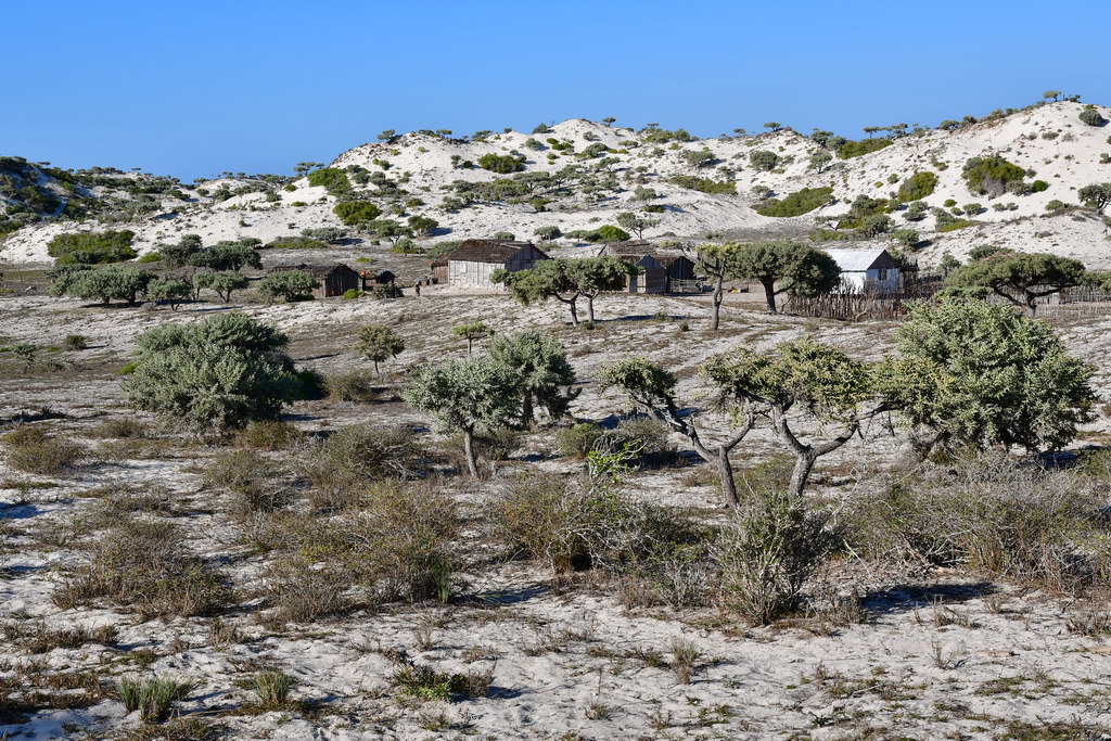 Piste to Toliara